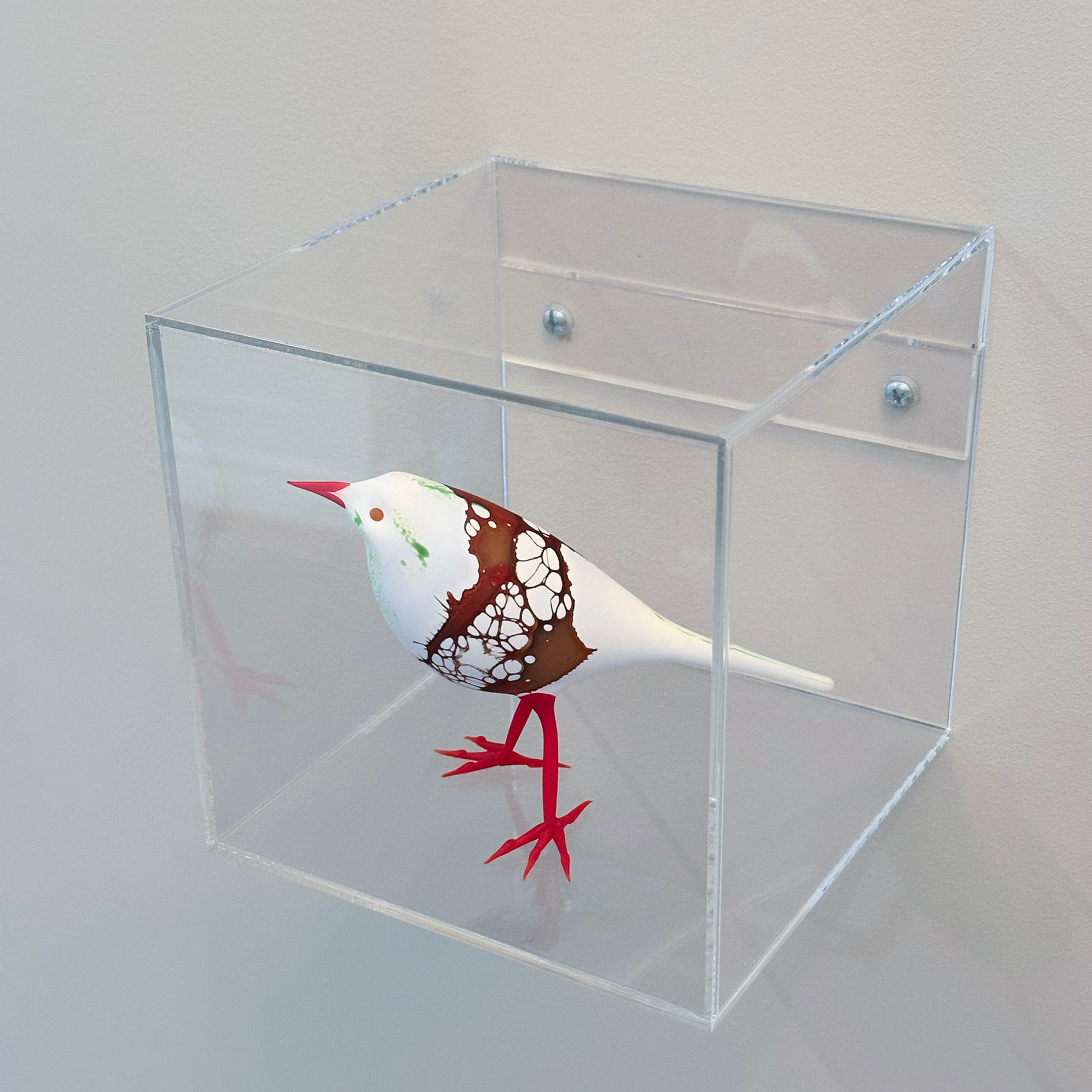 Clear Wall Mounted Acrylic Display Box, 6x6x6 in
